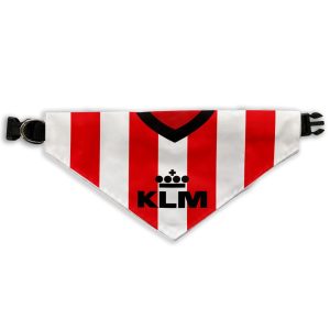 Dog Scarf - Home